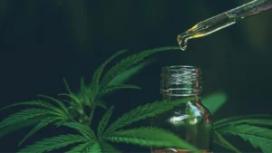 Read more about the article Was ist CBD? Der vollständige Ratgeber
